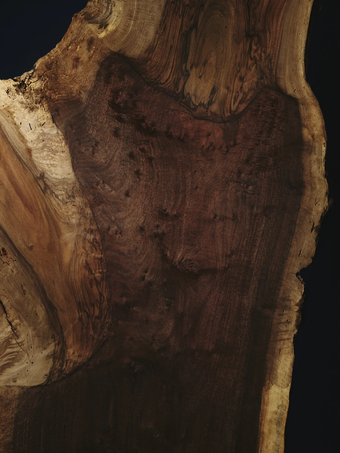 Indian Rosewood