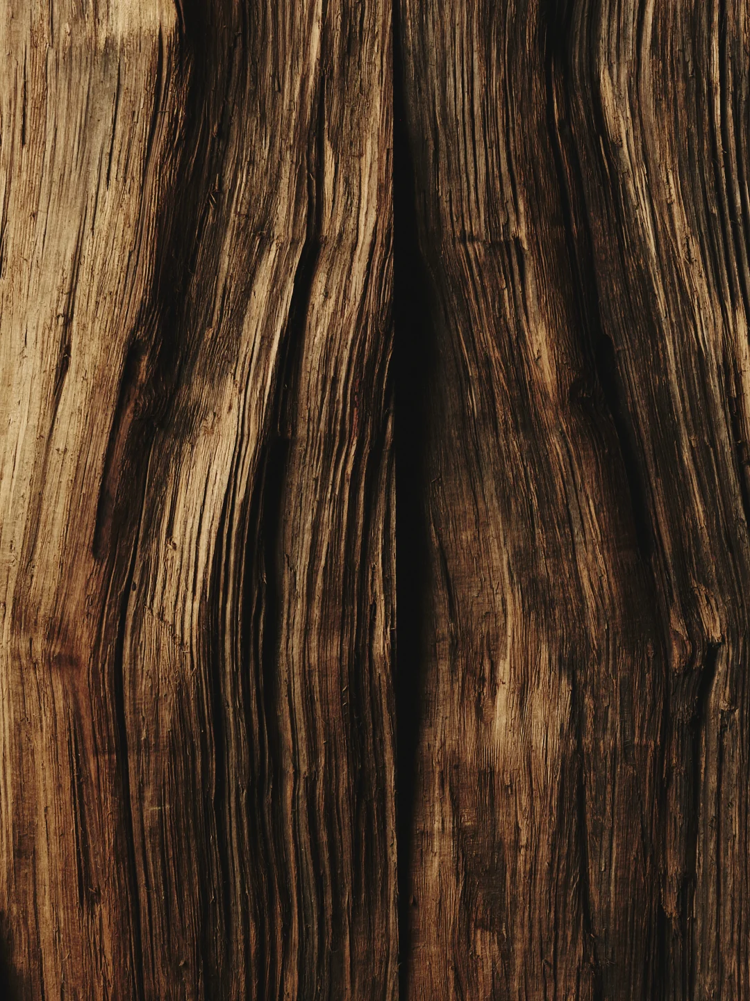 Yakusugi Cedar