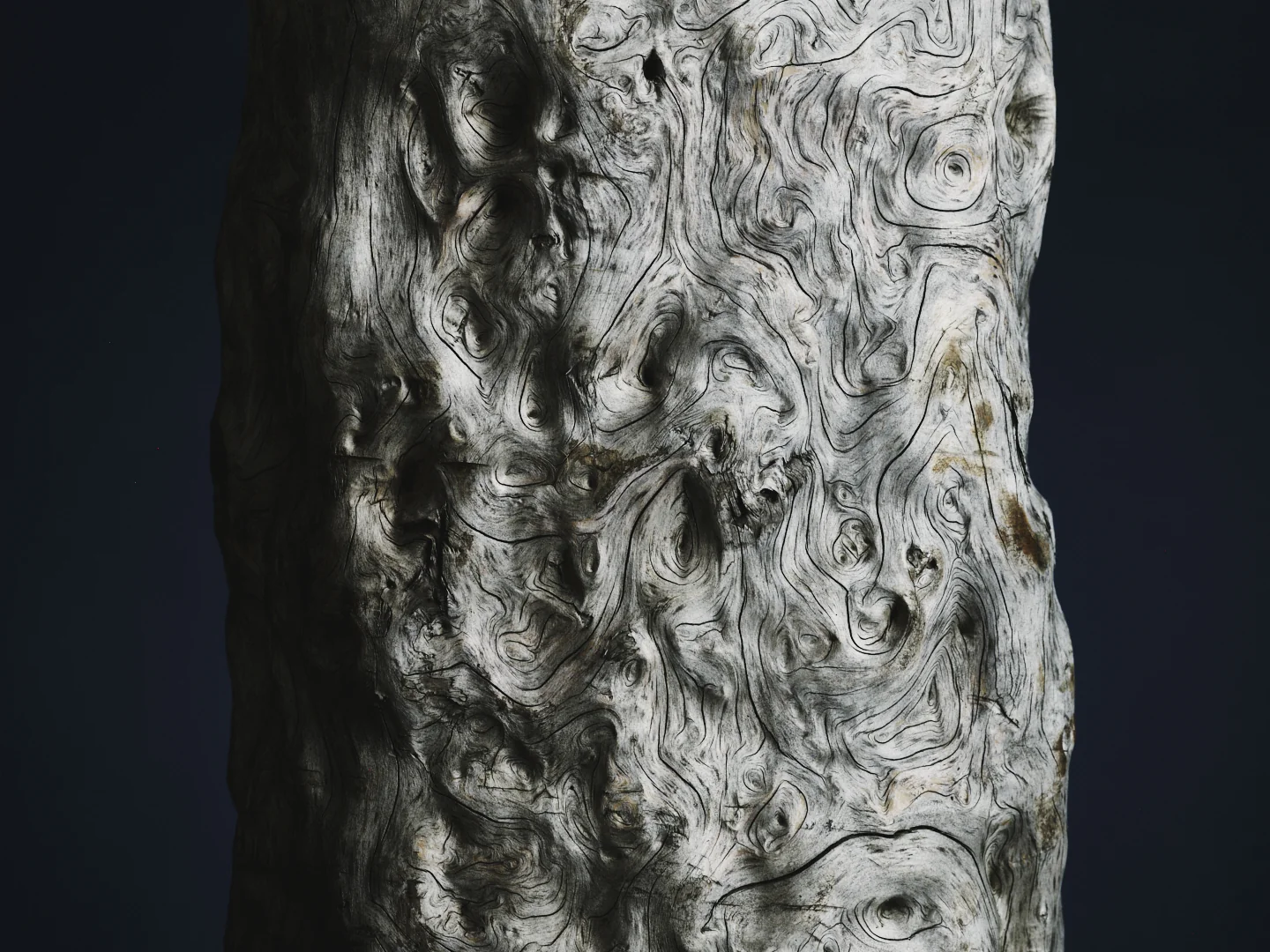 Figured Burl